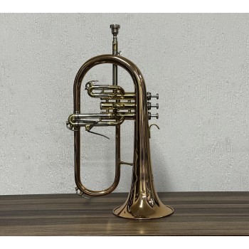 Flugelhorn Dasons Intermediário Rosè com Laqueado Si Bemol